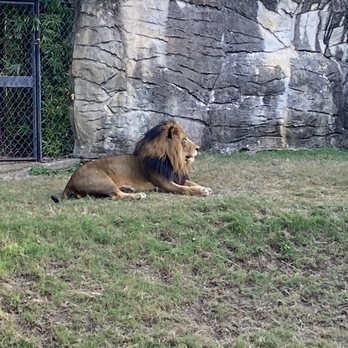 Cameron Park Zoo - Zoos Near Me - Waco, Texas Cameron Park Zoo - Zoos Near Me - Waco, Texas