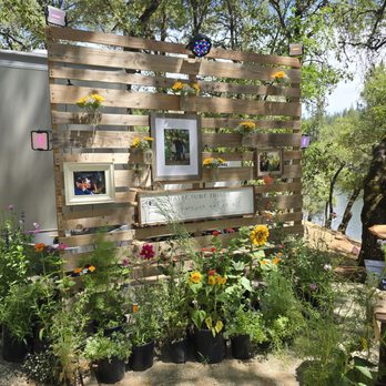 Sweet Roots Farm - Nurseries & Gardening Near Me - Grass Valley, California Sweet Roots Farm - Nurseries & Gardening Near Me - Grass Valley, California