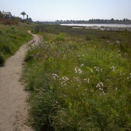 Off the improved path... you can still hear the birds :)-4.28.2013 Off the improved path... you can still hear the birds :)-4.28.2013