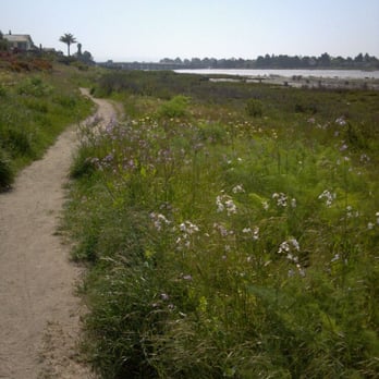 Elsie Roemer Bird Sanctuary - Off the improved path... you can still hear the birds :)-4.28.2013 - Parks Near Me - Alameda, California Elsie Roemer Bird Sanctuary - Off the improved path... you can still hear the birds :)-4.28.2013 - Parks Near Me - Alameda, California