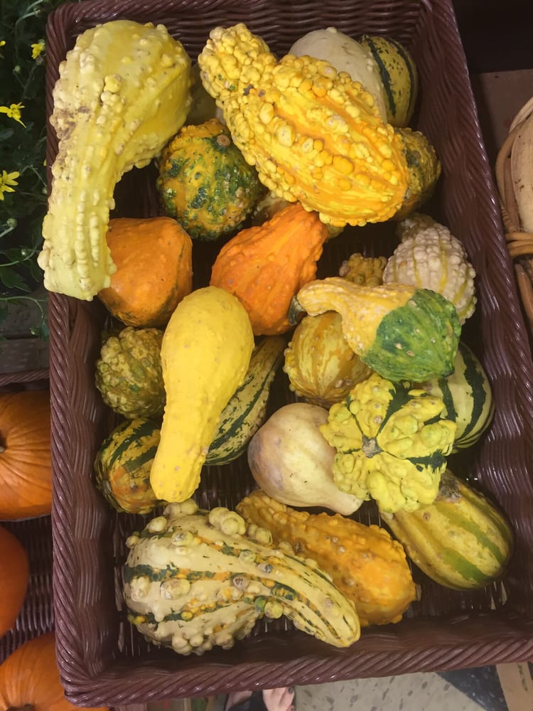 FOOD LION STORES Updated October 2024 1415 S Hawthorne Rd, Winston