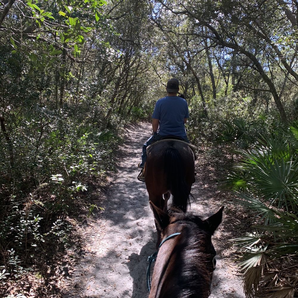 Makin' Tracks Trail Rides - Ocala National Forest - Horseback Riding Near Me - Fort McCoy, Florida