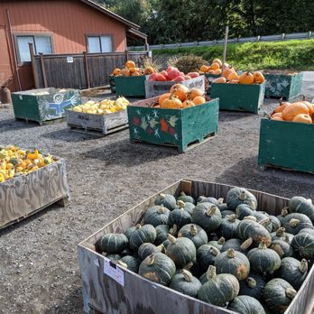 Carleton Farms - Farm Store: fall bounty. - Fruits & Veggies Near Me - Lake Stevens, Washington