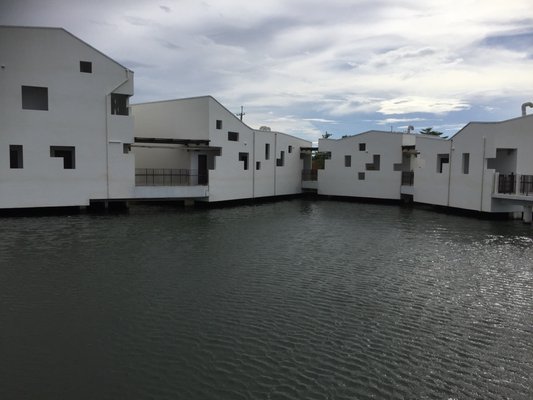 Taijiang National Park by null