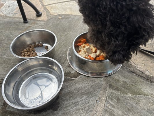 Spottswood Dining Room by null