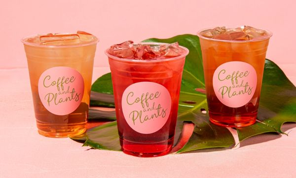 Coffee and Plants by null