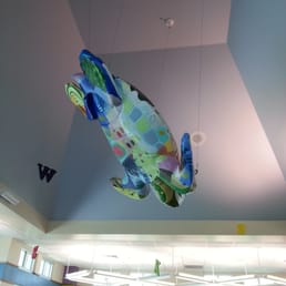 Turtle in kids area
