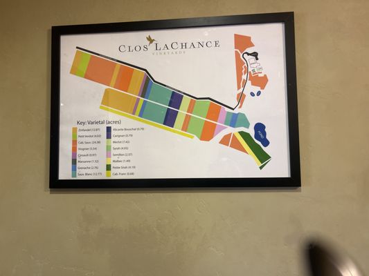 Clos LaChance Winery by null