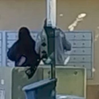 Project Management - PMI on site manager & maintenance tech illegally tampering with mailboxes & USPS panel lock. - Property Management Near Me - Sacramento, California Project Management - PMI on site manager & maintenance tech illegally tampering with mailboxes & USPS panel lock. - Property Management Near Me - Sacramento, California