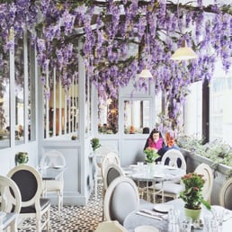 Wisteria heaven