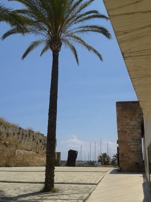 Es Baluard Museu d'Art Contemporani de Palma by null