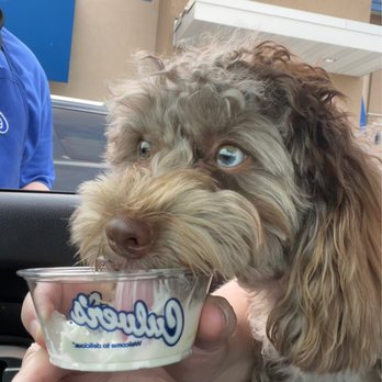Culver's - Dis is yum! - Burgers Near Me - Grain Valley, Missouri
