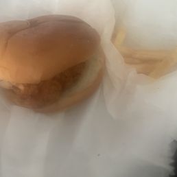 Classic Chicken Burger & 4 Buffalo Wings