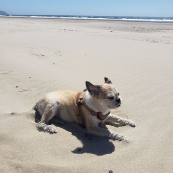 Cape Kiwanda State Natural Area - The windy Sphinx look! - Beaches Near Me - Cloverdale, Oregon