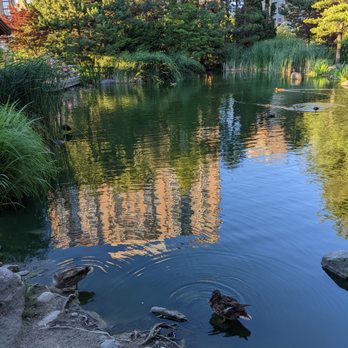 Kariya Park - Parks Near Me - Mississauga, Ontario Kariya Park - Parks Near Me - Mississauga, Ontario