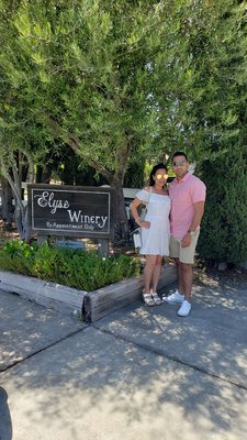 Elyse Winery by null