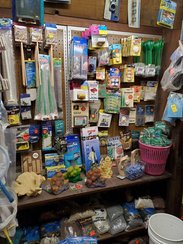 THE NEW PETLAND Updated October 2024 10 Photos 174 N Main St