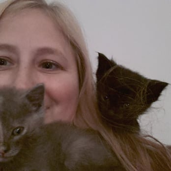 Heavy Petting Pet Sitting - Foster kittens - Pet Sitting Near Me - Charlotte, North Carolina Heavy Petting Pet Sitting - Foster kittens - Pet Sitting Near Me - Charlotte, North Carolina