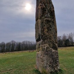 Gollenstein - Gollenstein
