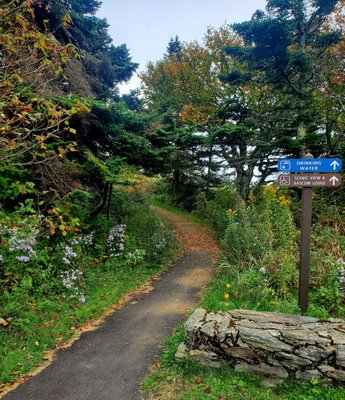 Mount Greylock State Reservation by null