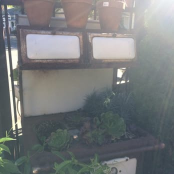 High Hand Nursery - Succulents displayed on a vintage stove - Nurseries & Gardening Near Me - Loomis, California