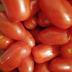 Netto Marken-Discount - Ich habe hier diese schönen und leckeren Tomaten gekauft. Sie waren auch sehr günstig. Danke Netto.