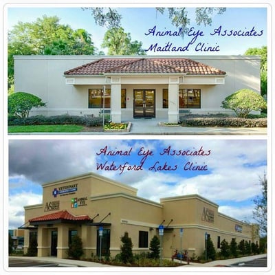 Animal Eye Associates 9901 S Us Highway 17 92 Maitland Fl Nursing Personal Care Nec Mapquest