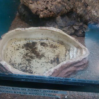 Big Al's - minimal dirty water - Pet Stores Near Me - Hamilton, Ontario