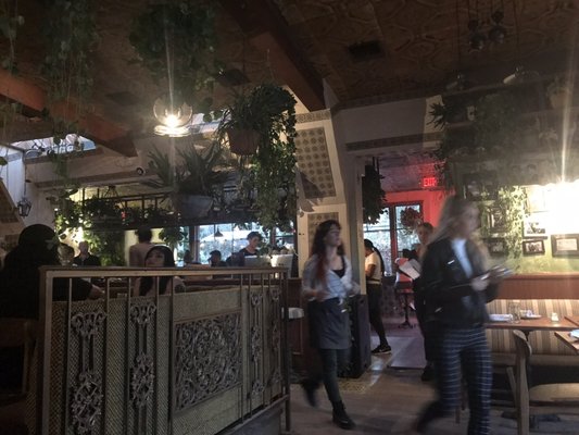 Cannabis Cafe by null