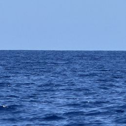 3/15/25 1030 Whale Watching Tour 3/15/25 1030 Whale Watching Tour