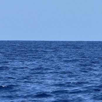 Adventure X Boat Tours - 3/15/25 1030 Whale Watching Tour - Boat Tours Near Me - Waimea, Hawaii Adventure X Boat Tours - 3/15/25 1030 Whale Watching Tour - Boat Tours Near Me - Waimea, Hawaii