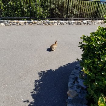 Heisler Park - Great wildlife - Parks Near Me - Laguna Beach, California Heisler Park - Great wildlife - Parks Near Me - Laguna Beach, California