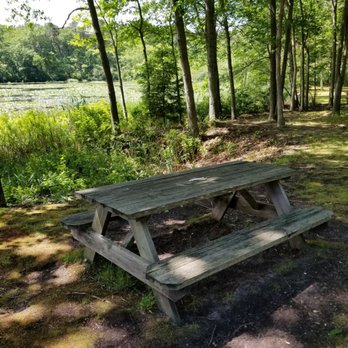 Peconic River Herb Farm - River view - Nurseries & Gardening Near Me - Calverton, New York Peconic River Herb Farm - River view - Nurseries & Gardening Near Me - Calverton, New York