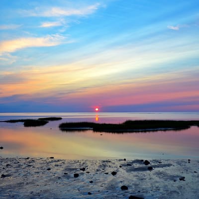 Chapin Memorial Beach by null