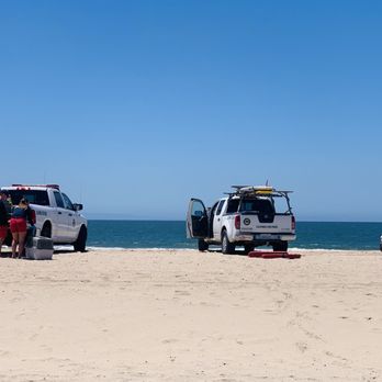 Bolsa Chica State Beach - Lifeguards Saving Pelican - Beaches Near Me - Huntington Beach, California Bolsa Chica State Beach - Lifeguards Saving Pelican - Beaches Near Me - Huntington Beach, California