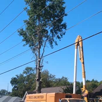 Trees Unlimited - Tree Services Near Me - Gallatin, Tennessee Trees Unlimited - Tree Services Near Me - Gallatin, Tennessee