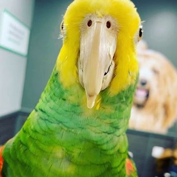Pet Supplies Plus Glendale - Pet Stores Near Me - Glendale, Wisconsin Pet Supplies Plus Glendale - Pet Stores Near Me - Glendale, Wisconsin