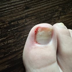BT Nail Spa