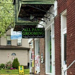 All Pawz Grooming
