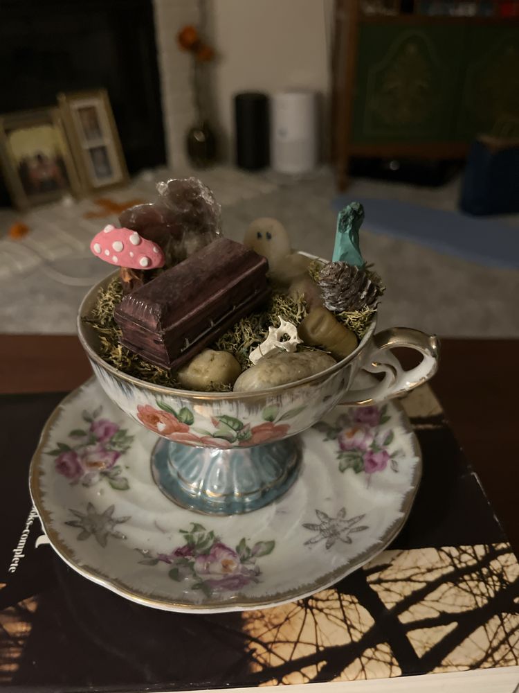 The Salem Flea Image