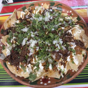 Tacos N Grill - Mexican Near Me - Orlando, Florida Tacos N Grill - Mexican Near Me - Orlando, Florida