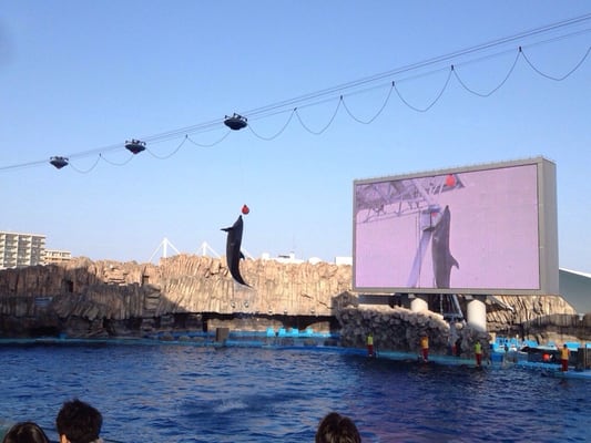 Port Of Nagoya Public Aquarium by null