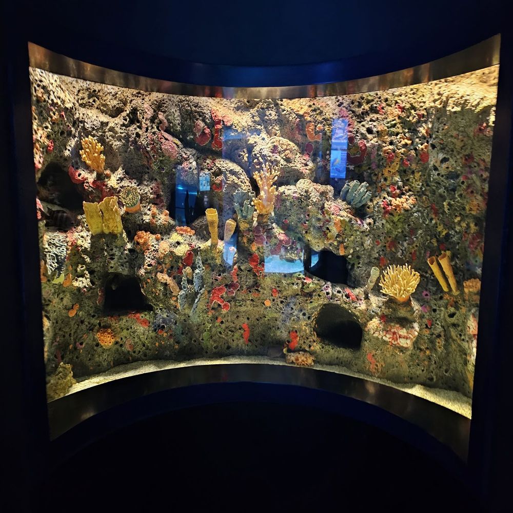 Texas State Aquarium - Aquariums Near Me - Corpus Christi, Texas Texas State Aquarium - Aquariums Near Me - Corpus Christi, Texas