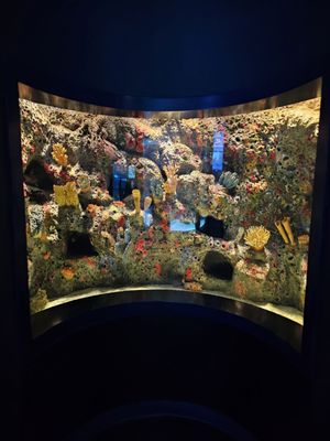 Texas State Aquarium by null