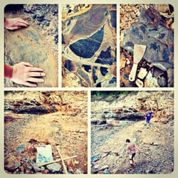 Fossil Bowl - We felt gluttonous taking so many fossils, so we stopped after a short time. We found leaves and even a fish!