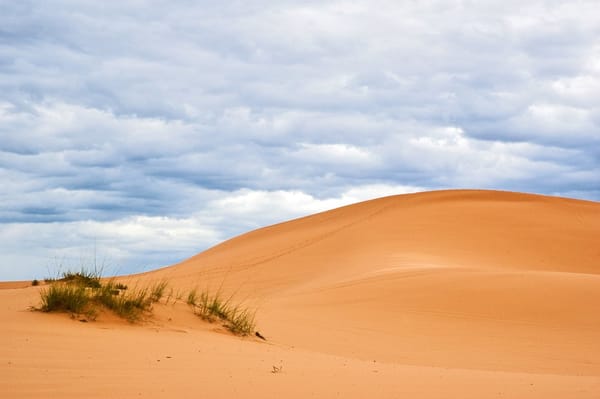 Coral Pink Sand Dunes State Park by null