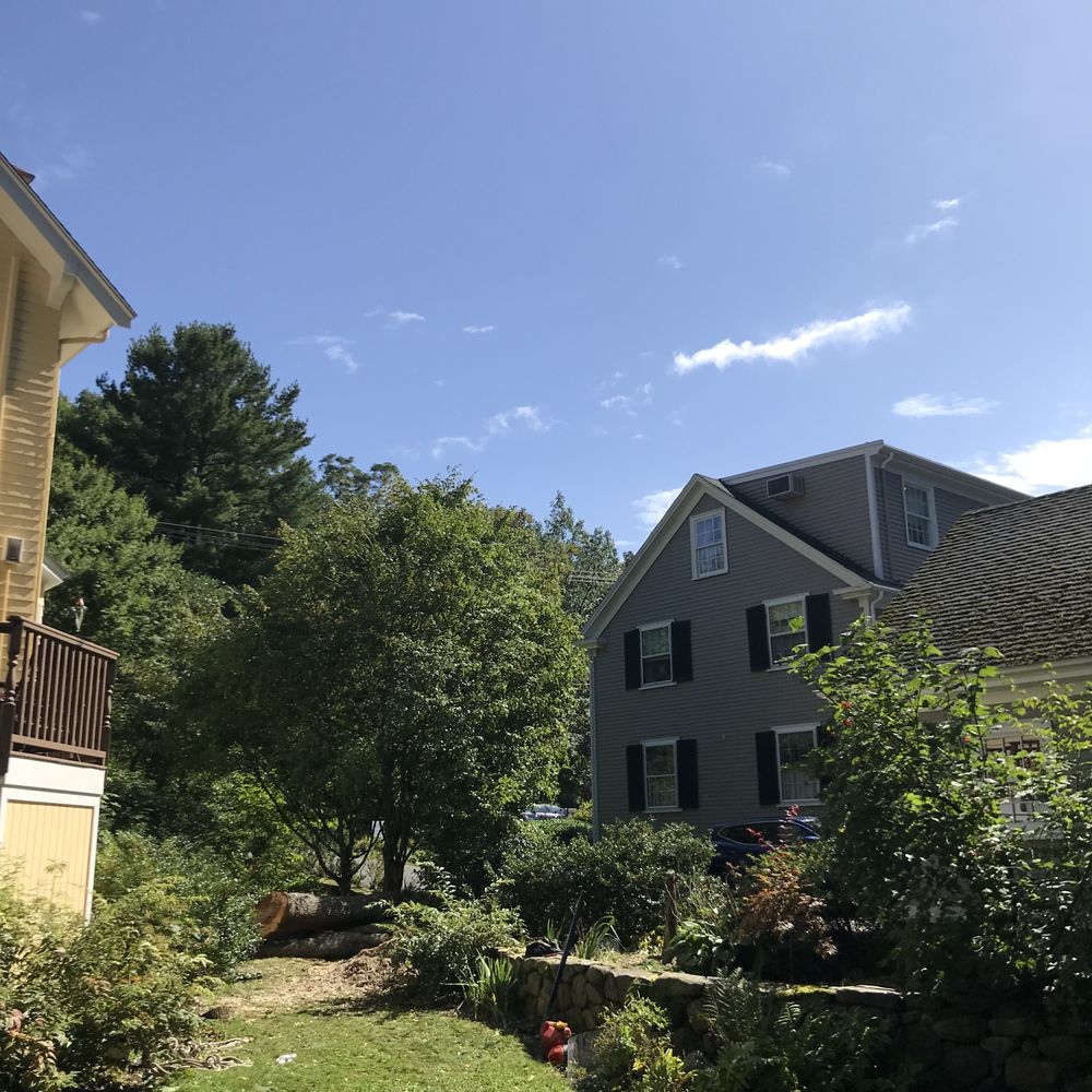 Edgar and Sons - Space and sky after tree removal - Landscaping Near Me - Peabody , Massachusetts