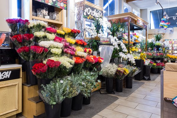 Bristol Farms by null