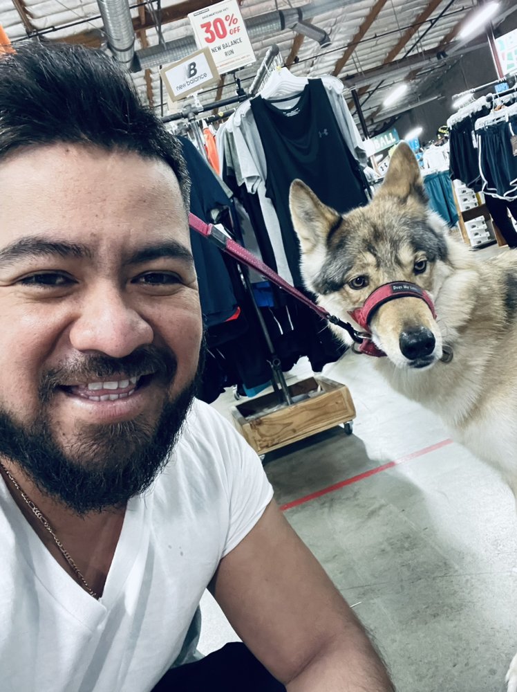 LOCAL WATER HEATERS AND PLUMBING 211 Photos & 123 Reviews Santa