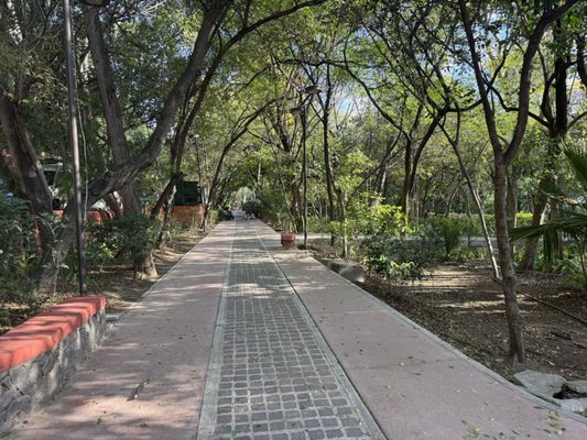 Parque Benito Juárez by null